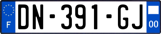 DN-391-GJ