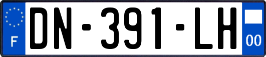 DN-391-LH