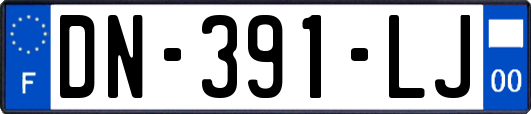 DN-391-LJ
