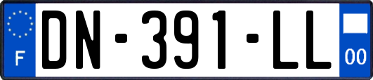 DN-391-LL
