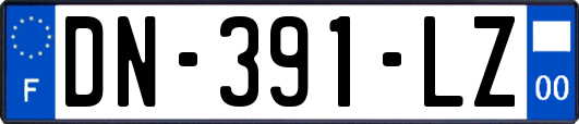 DN-391-LZ