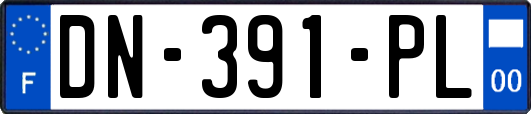 DN-391-PL