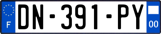DN-391-PY