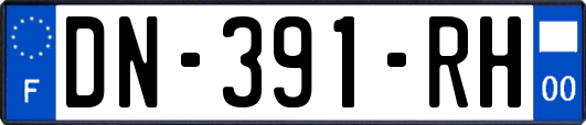 DN-391-RH