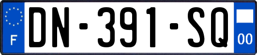 DN-391-SQ