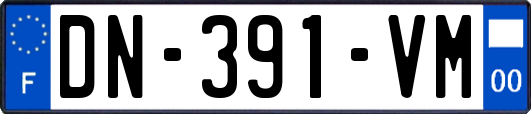 DN-391-VM