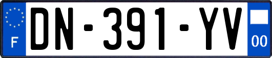 DN-391-YV