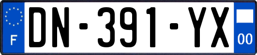 DN-391-YX