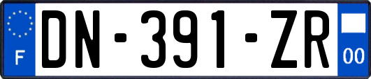 DN-391-ZR