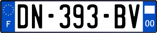 DN-393-BV