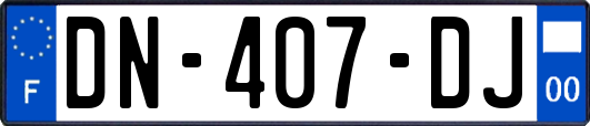 DN-407-DJ