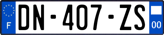 DN-407-ZS