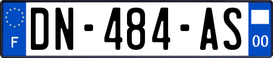 DN-484-AS