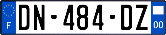 DN-484-DZ