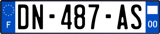 DN-487-AS