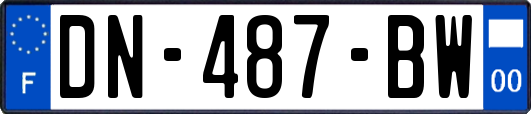 DN-487-BW