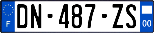 DN-487-ZS