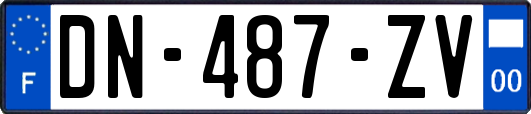 DN-487-ZV