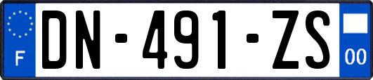 DN-491-ZS