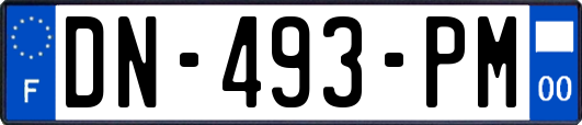 DN-493-PM