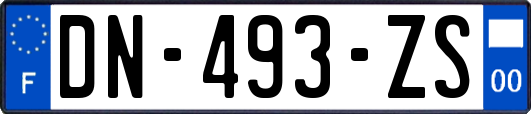 DN-493-ZS