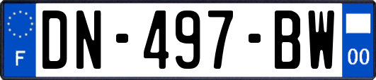 DN-497-BW