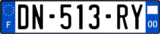 DN-513-RY