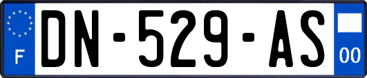 DN-529-AS