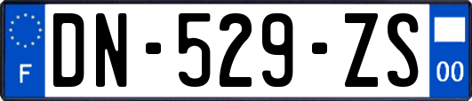 DN-529-ZS