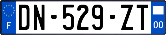 DN-529-ZT