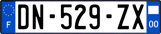 DN-529-ZX