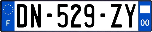 DN-529-ZY