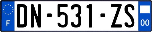 DN-531-ZS