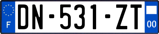 DN-531-ZT