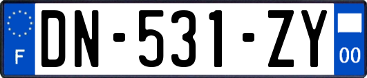 DN-531-ZY