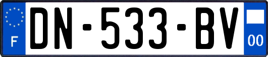 DN-533-BV