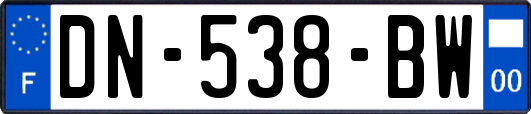 DN-538-BW