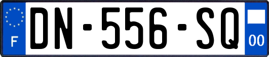 DN-556-SQ