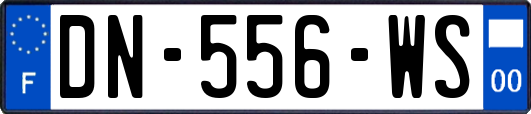 DN-556-WS