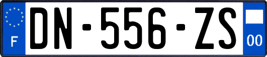 DN-556-ZS