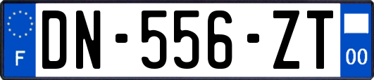 DN-556-ZT