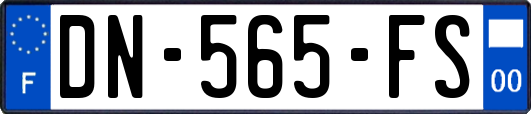 DN-565-FS