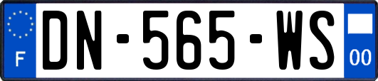 DN-565-WS