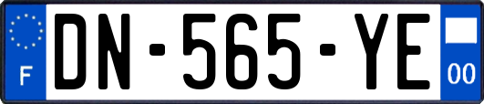 DN-565-YE