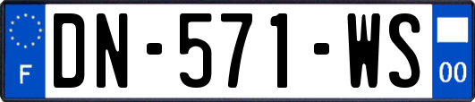 DN-571-WS