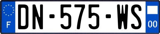 DN-575-WS