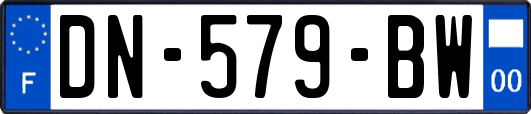 DN-579-BW