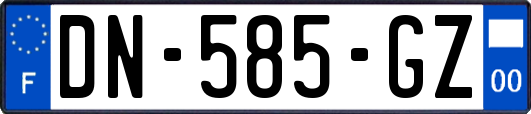 DN-585-GZ