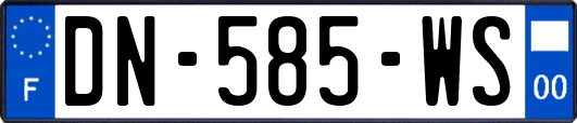DN-585-WS