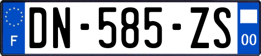 DN-585-ZS